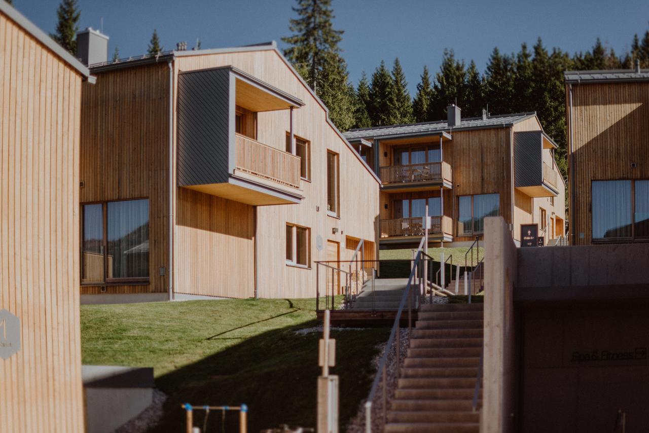 רמסאו אם דכשטיין Rittis Alpin Chalets Dachstein מראה חיצוני תמונה